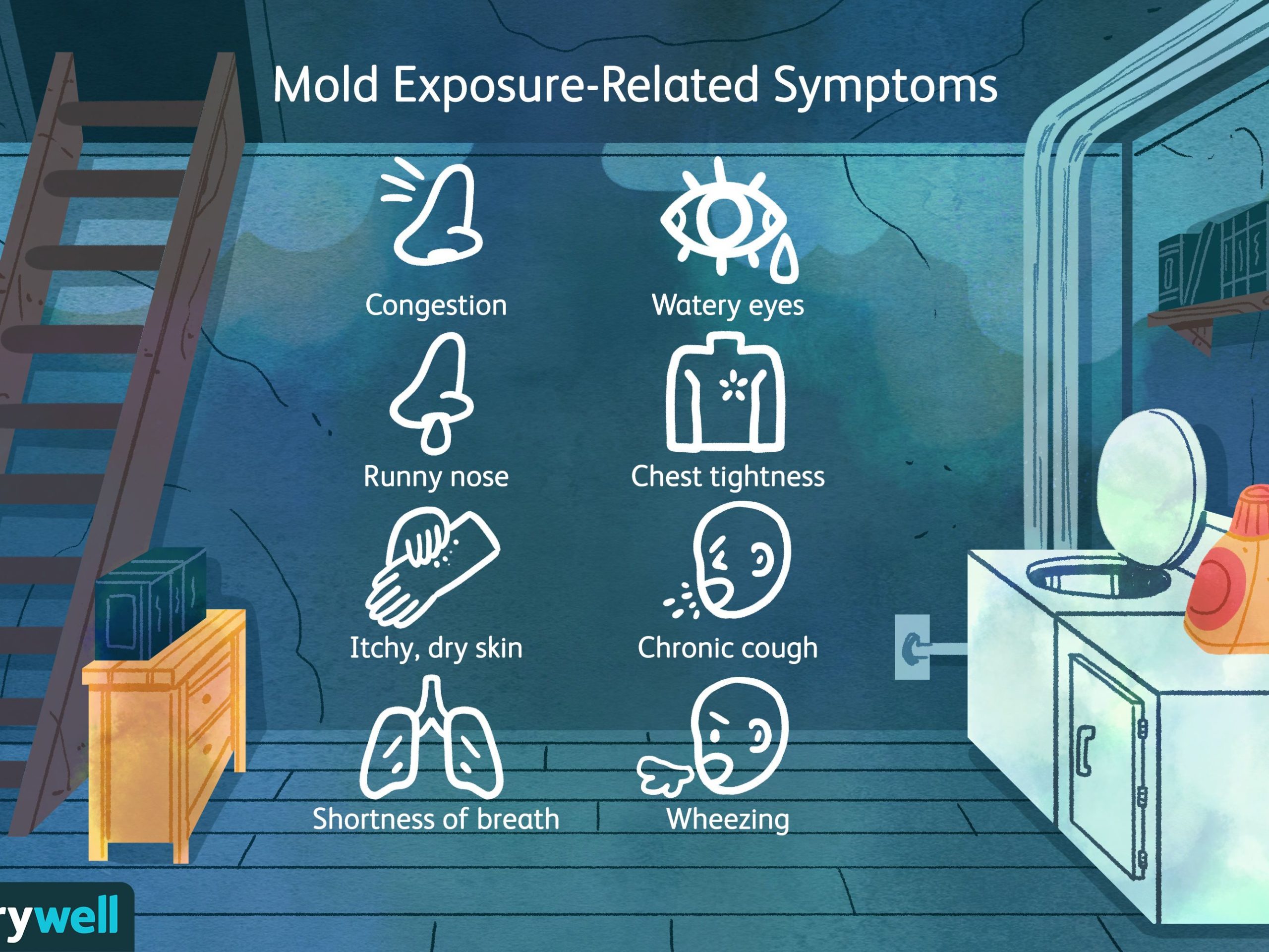 mold symptoms relatered scaled