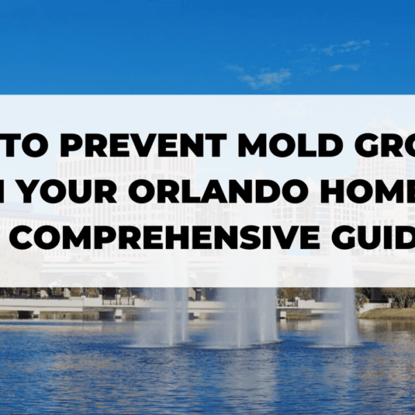 How to Prevent Mold Growth in Your Orlando Home A Comprehensive Guide