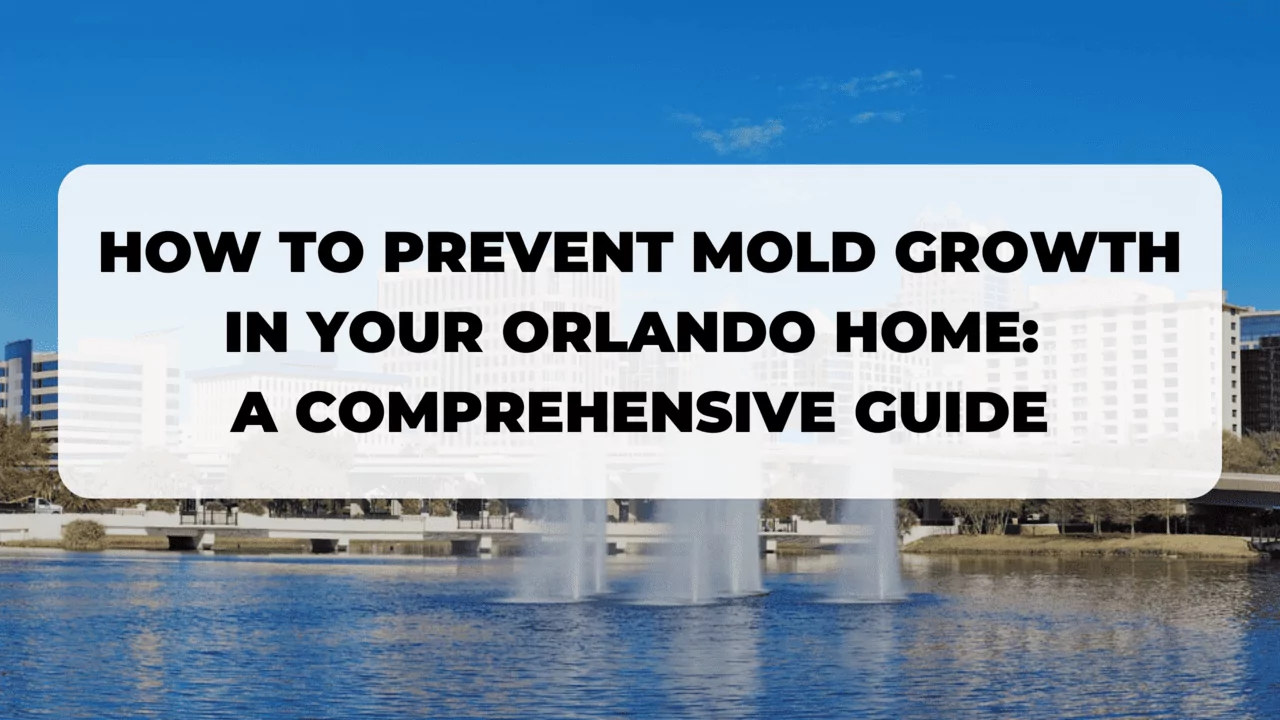 How to Prevent Mold Growth in Your Orlando Home: A Comprehensive Guide ...