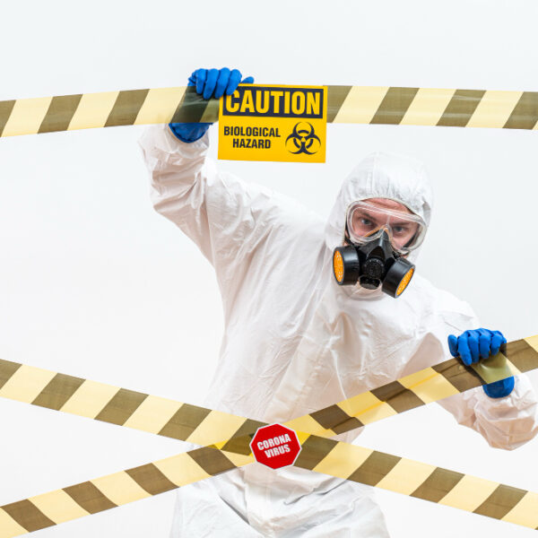 The Pros and Cons of DIY Mold Remediation Is it Worth the Risk
