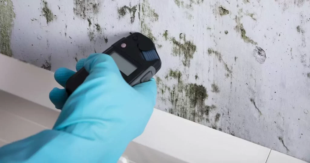 Discover the Advantages: The Benefits of Professional Mold Testing in Orlando