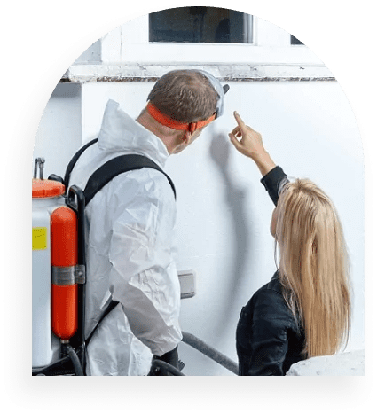 mold removal profissional